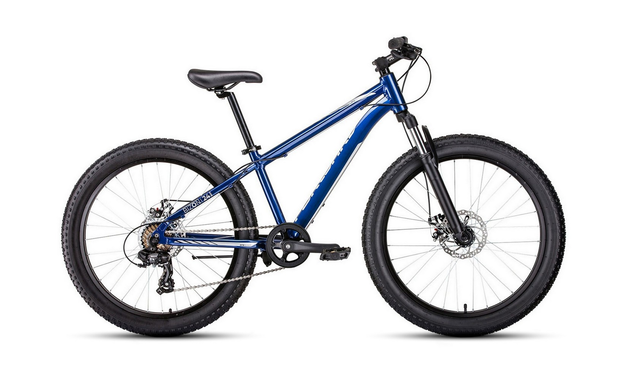 Forward BISON MINI 24 D 2022 рама 13, синий