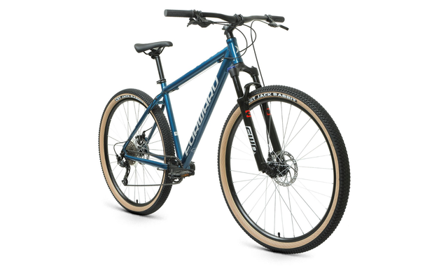 Forward BURAN 29 2.0 D 2022 рама 19, синий/серебристый