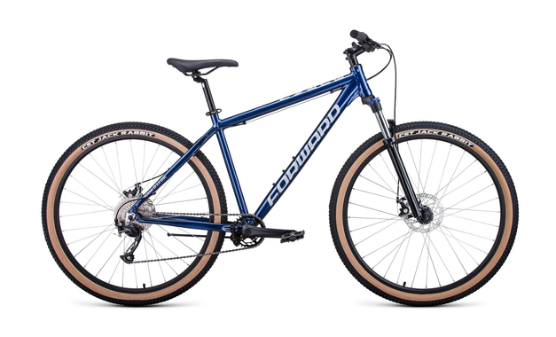 Forward BURAN 29 2.0 D 2022 рама 19, синий/серебристый