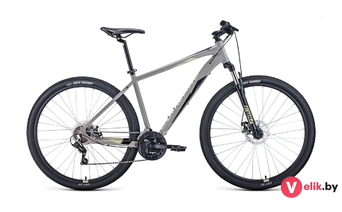 Forward APACHE 29 2.0 D 2022 рама 17, серый/бежевый