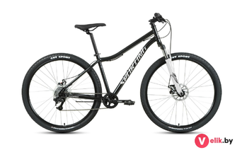 Forward SPORTING 29 2.2 D 2022 рама 17, черный/белый