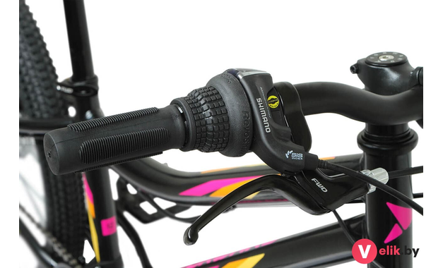 Forward IRIS 24 2.0 D 2022 черный/розовый, рама 12"