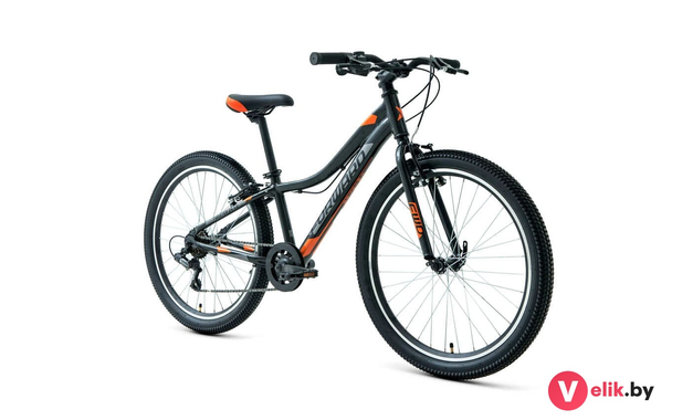 Forward TWISTER 24 1.0 2022 серебристый/синий, рама 12"