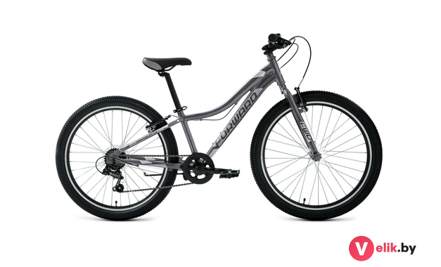 Forward TWISTER 24 1.0 2022 черный/серебристый, рама 12"