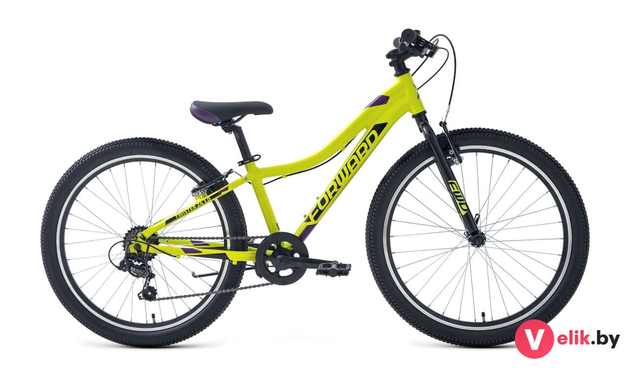 Forward TWISTER 24 1.0 2022 черный/серебристый, рама 12"