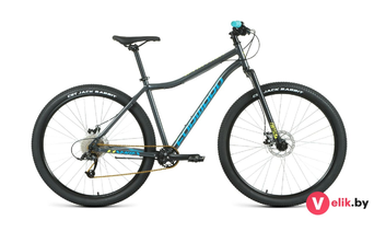 Forward SPORTING 29 X D 2022 рама 19, темно-серый/зеленый