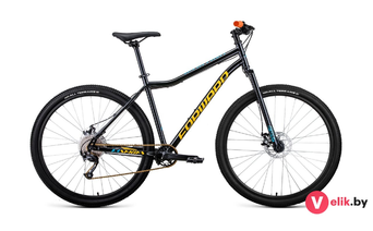 Forward SPORTING 29 X D 2022 рама 19, черный/золотой
