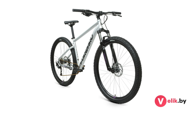 Forward SPORTING 29 XX D 2022 рама 17, серебристый/фиолетовый