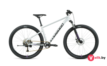 Forward SPORTING 29 XX D 2022 рама 19, серебристый/фиолетовый