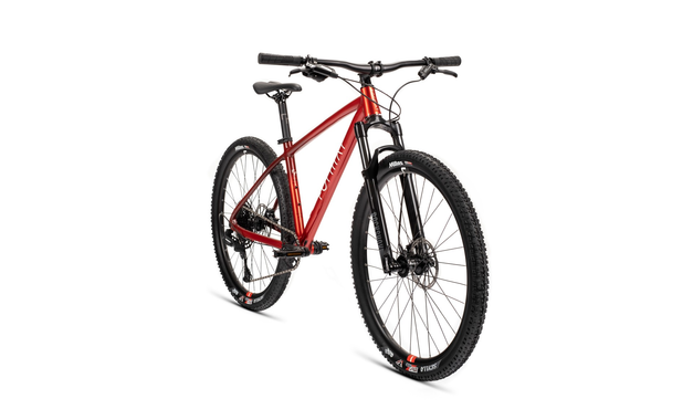 Велосипед FORMAT 1211 29 2023 красный/темно-красный, размер L