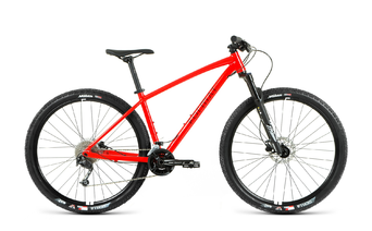 Велосипед FORMAT 1213 29 2023 светло-серый, размер M