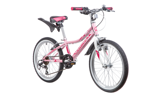 NOVATRACK ALICE 6.V 2019, рама 10", розовый