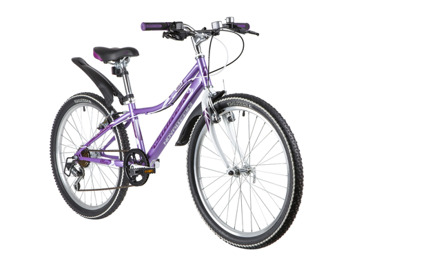 NOVATRACK ALICE 6.V 2020, рама 12", лиловый